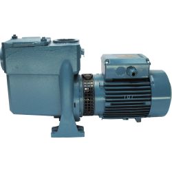 50mm self priming centrifugal pump with 2HP motor. 900 LPM