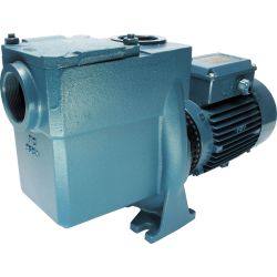 65mm self priming centrifugal pump with 5.5HP motor.
