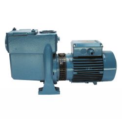 80mm self priming centrifugal pump with 5.5 HP motor. 3 phase.