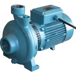 2HP water/diesel pump with 50mm Inlet/32mm Outlet