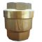 80mm Brass spring check valve with Viton seals for petrol